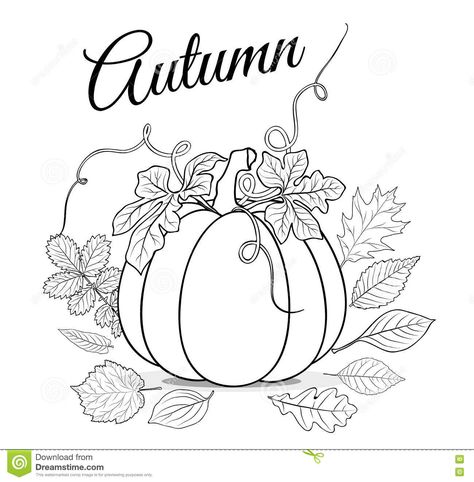 Illustration about Autumn background with pumpkin and leaves for coloring book vector. Illustration of nature, graphic, drawn - 77394006 Pumpkin Sketch, Pumpkin Outline, Leaves Sketch, Fall Embroidery Designs, Book Vector, Pumpkin Pictures, Autumn Background, Pumpkin Coloring Pages, Leaf Clipart