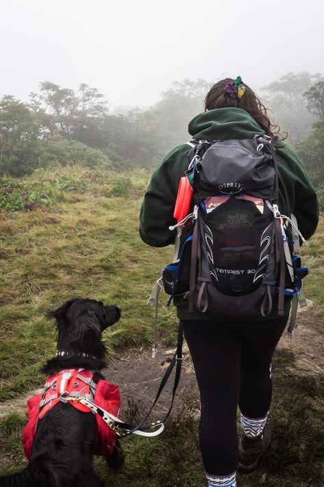 Travelling With Dog, Backpacking With A Dog, Dog Hiking Essentials, Backpacking With Dogs, Traveling With Dog, Best Hiking Backpacks For Women, Hiking With Dog, Hiking Backpack Women, Dogs Camping