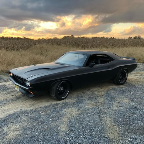 Black Dodge Challenger, 1973 Dodge Challenger, 240z Datsun, Old Muscle Cars, Dodge Muscle Cars, Fancy Cars, Classy Cars, Pretty Cars, Cars 3