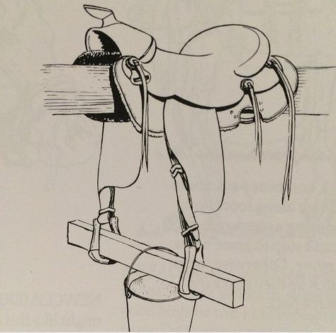 Here is an old way to twist your stirrups so they don't put so much pressure on your knees. Some wet the leather first then twist and hang a heavy item, a bucket filled with water here, so when the leather dries it will keep your stirrups hanging so it is easier to get your feet in them with less pressure on knees. Horses Saddles, Horse Eating, Diy Horse, Horse Facts, Horse Info, Horse Riding Tips, On Knees, Horse Equipment, Horse Gear