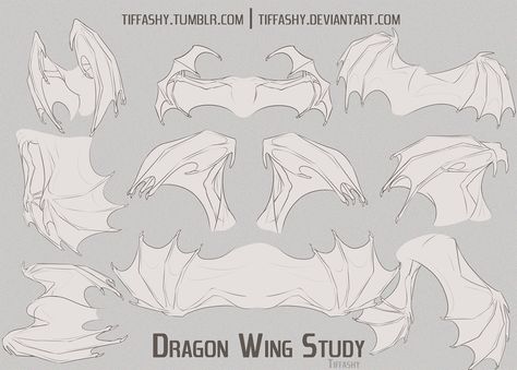 Dragon Wing Study/Tutorial by TIFFASHY on DeviantArt Study Tutorial, Wings Sketch, Dragon Poses, Dragon Anatomy, Dragon Wing, Wings Drawing, Dragon Sketch, Creature Drawings, Dragon Wings