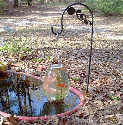 DIY Hanging Vase Fish Tower - PetDIYs.com Fish Tower, Mini Pond, Goldfish Pond, Diy Pond, Pond Ideas, Pond Fountains, Hanging Vases, Aquaponics System, Pond Design