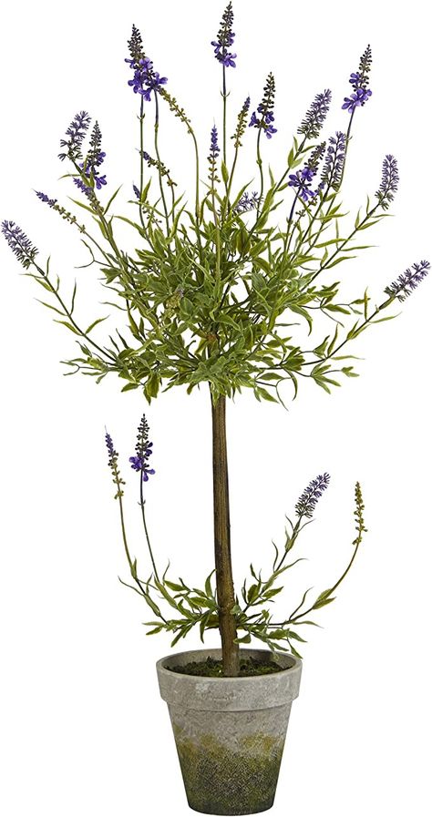 Amazon.com - Nearly Natural 34in. Lavender Topiary Artificial Silk Trees, Purple - Lavendar Plant, How To Plant Lavender, Lavender Topiary, Lavender Tree, Flower Topiary, Lavender Care, Plant Lavender, Potted Lavender, Spanish Lavender