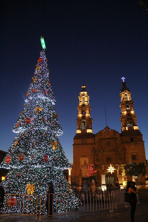 CATEDRAL BASÍLICA EN AGUASCALIENTES, MEXICO Xmas Paintings, Spanish Decor, California Missions, Mexican Christmas, Vision Board Pictures, Christmas Tree Inspiration, Spain And Portugal, Mexico Travel, Christmas Market