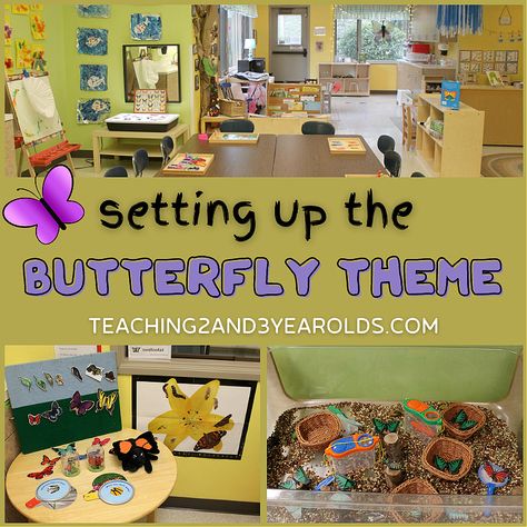 Setting up the Classroom for the Butterfly Theme Preschool Butterfly Theme, Butterfly Classroom Theme, Preschool Butterfly, Butterflies Classroom, Butterfly Tea Party, Butterfly Lessons, April Preschool, September Activities, Butterflies Activities