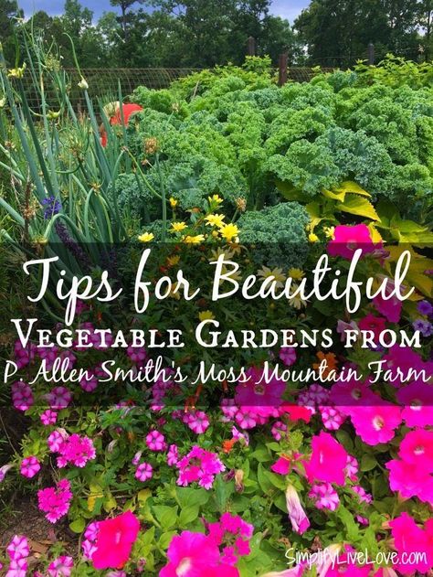 Tips for Beautiful Vegetable Gardens from P. Allen Smith's Moss Mountain Farm Grow Ginger Indoors, Influencer Trip, Growing Ginger Indoors, Moss Mountain Farm, Growing Spinach, P Allen Smith, Growing Ginger, Organic Gardening Pest Control, Raised Garden Bed Plans