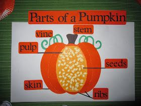 Parts of a pumpkin diagram Pumpkin Labeling, Pumpkin Lessons, Pumpkins Preschool, Pumpkin Science, October Lessons, Parts Of A Pumpkin, Fall Lesson Plans, Pumpkin Life Cycle, Fall Preschool Activities