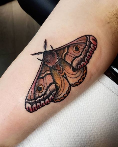 Fairy Moth Tattoo, Trad Moth Tattoo, Color Moth Tattoo, Moth Tattoo Color, Moth Tattoos For Women, Small Moth Tattoo, Traditional Moth Tattoo, Emperor Moth, Mark My Words