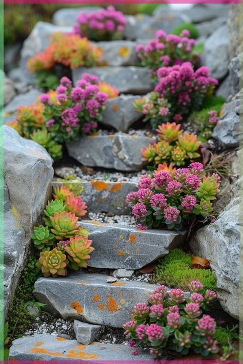 Smart Gardening, Xeriscape Front Yard, Rockery Garden, Succulent Garden Landscape, Plants Beautiful, Stair Ideas, Rock Garden Plants, Succulent Landscaping, Succulent Garden Design