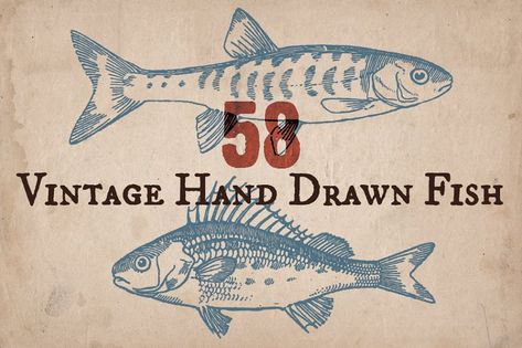 58 Vectorised illustrations of different fishes  **Click on screenshots to see all objects**  Zip file includes - CS1 compatible .AI file - CS1 compatible .EPS file Drawn Fish, Tattoos Inspiration, Different Fish, Fish Graphic, Fish Illustration, Fish Drawings, Book Icons, Sticker Ideas, Vintage Fishing