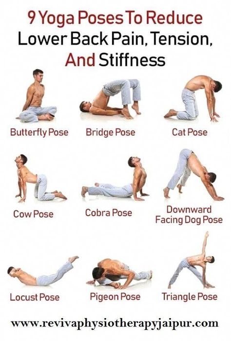 Lower Back Pain Stretches, Butterfly Pose, Cow Pose, Back Stretches For Pain, Lower Back Pain Exercises, Back Pain Remedies, Cobra Pose, Lower Back Pain Relief, Bridge Pose