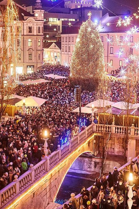 Festive decorations at Prešeren's square in Ljubljana, Slovenia. Spend your December fantasy in Ljubljana During Advent, the Slovenian capital transforms into a magical city of lights, holiday aromas, and joyous atmosphere. #slovenia #ljubljana #visitslovenia #visitljubljana #feelslovenia #christmastree #christmas #holidays #holidaydecorations #christmasdecorations Pretty Cities, Novo Mesto, Visit Slovenia, Slovenia Travel, Magical City, Ljubljana Slovenia, City Of Lights, Hello December, Heart Of Europe