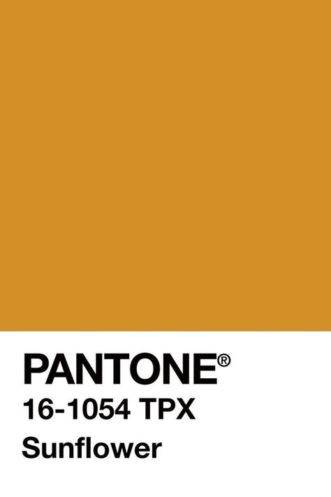 Golden rod. Deep Yellow Color, Pantone Sunflower, Mustard Yellow Pantone, Pantone Mustard, Pantone Color Swatches, Ochre Color, Yellow Pantone, Pantone Palette, Pantone Colour Palettes