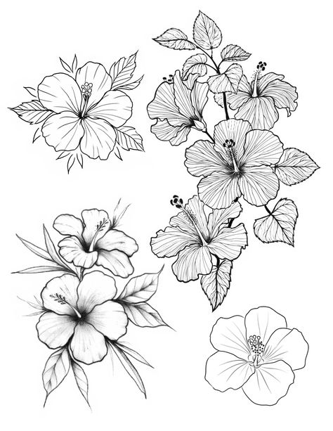 Hibiscus Traditional Tattoo, Thespesia Grandiflora Tattoo, Hibiscus Line Art, Hibiscus Tattoo Design, Hawaii Flower Tattoos, Hawaiian Flower Drawing, Frangipani Tattoo, Hibiscus Flower Drawing, Hawaiian Flower Tattoos