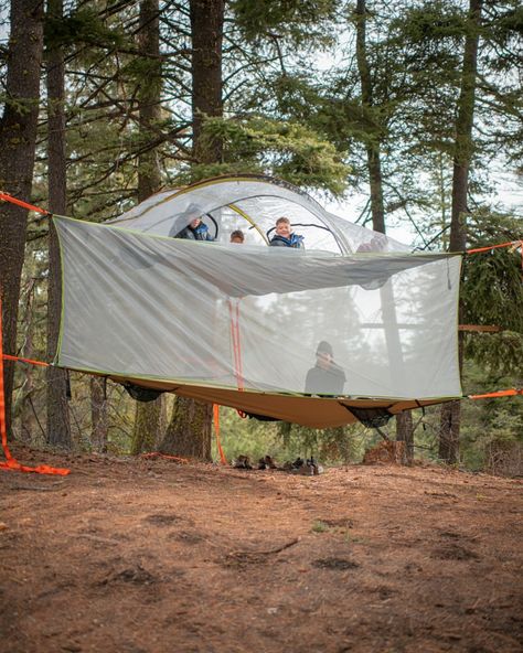 Tree Tents Hanging, Tree Tent Camping, Campsite Ideas, Best Family Tent, Interesting Homes, Cozy Camping, Tree Camping, Tree Bed, Lake Ideas