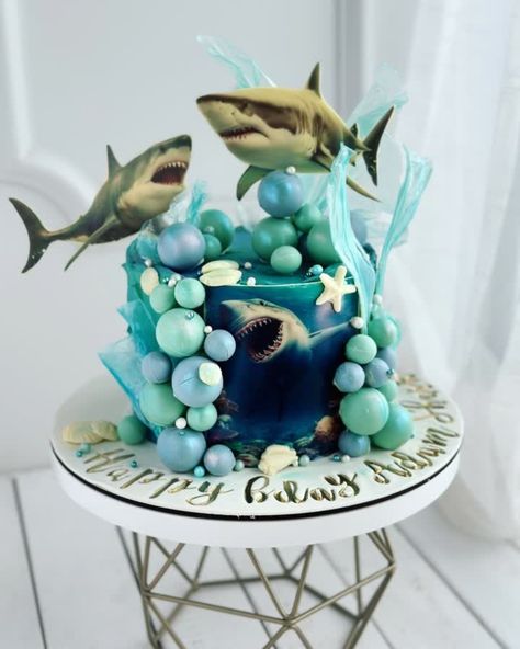 Creator Spotlight 🦈🎂 Check out this awesome shark-themed cake that @alisa_rochon uploaded to our creator's page: https://bit.ly/3USEyjN This cake is perfect for a little shark lover's birthday! The ocean-themed design features an underwater scene with a shark swimming in the middle of the cake, surrounded by bubbles and seaweed. Check out our on-demand custom-printed cake toppers: https://bit.ly/47k19cY #edibleink #cakes #customcakes #shark #sharkcake #birthdaycake #foodart #cakedecorating... Shark Themed Cakes, Shark Cake, Underwater Scene, Shark Swimming, Shark Lover, Edible Ink, Custom Cakes, Themed Cakes, Food Art