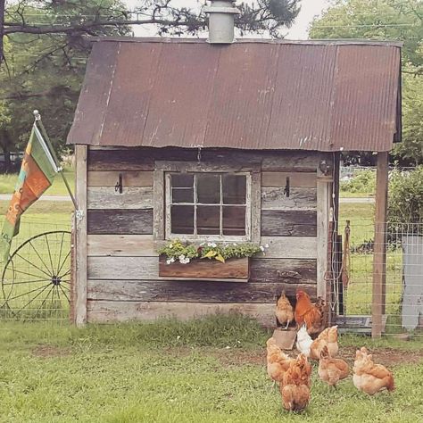 Chicken Castle, Vintage Chicken Coop, Chook House, Chicken Coop Ideas, Chicken Coop Pallets, Duck Coop, Vintage Chicken, Chicken Coop Run, Coop Ideas