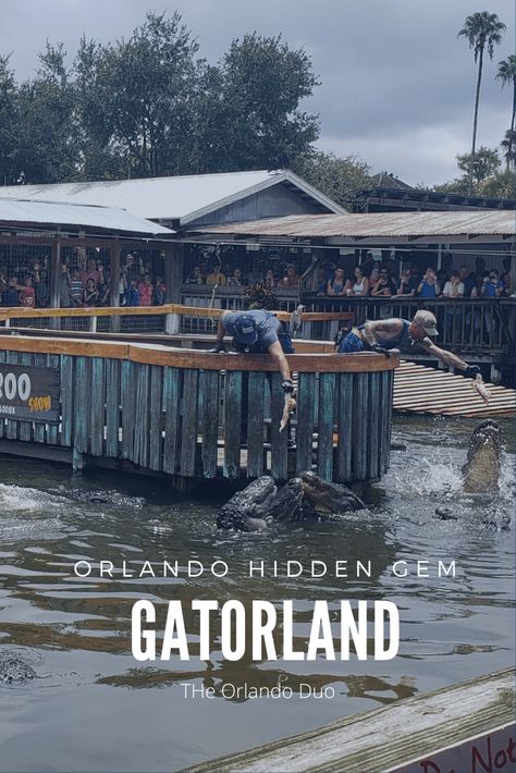 Orlando Hidden Gem - Gatorland - The Orlando Duo Gatorland Orlando, Orlando Springs, Orlando Travel, Florida Trip, Outdoor Park, Acnh Ideas, Close Encounters, Off Road Adventure, Florida Travel