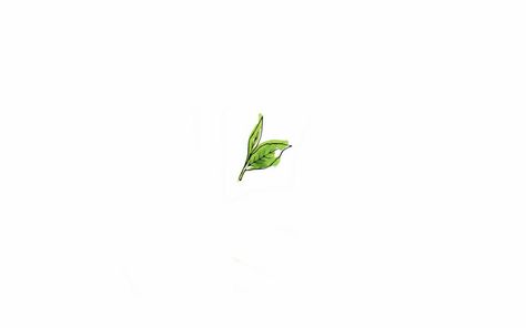 Green Tea Leaf Tattoo, Green Tea Tattoo, Matcha Tattoo Ideas, Matcha Tattoos, Tea Leaf Tattoo, Mint Leaf Tattoo, Green Leaf Tattoo, Tea Leaves Tattoo, Tea Tattoo Ideas