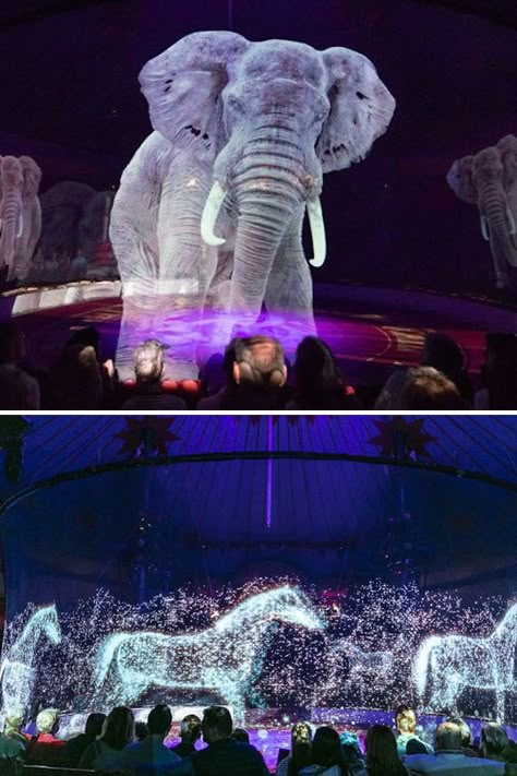 Circus Roncalli in Germany has swapped real animals for holograms in an attempt to fight against animal cruelty in the entertainment industry. Circus Animals, Parc D'attraction, Live Animals, Medicinal Plants, Magical Places, Animals Wild, Circus, Cyberpunk, Cruelty Free