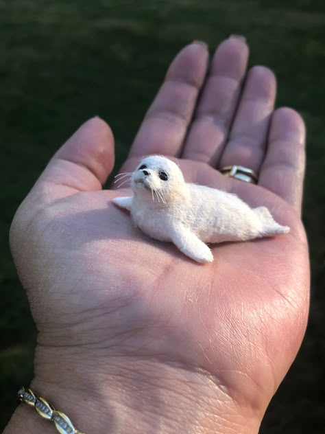 Clay Seal, Cute Seal Drawing, Seal Drawing, Funny Seals, Seal Craft, Cute Seals, Seal Pup, Baby Seal, Needle Felting Diy