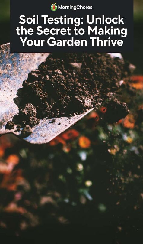 Soil Testing: Unlock the Secret to Making Your Garden Thrive Healthy Garden Soil, Garden Diy Decoration Ideas, Garden Soil Preparation, Compost Soil, Thriving Garden, Soil Testing, Healthy Garden, Home Vegetable Garden, Homestead Survival