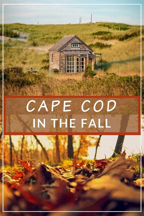 West Dennis Cape Cod, Cape Cod In September, Cape Cod Things To Do Fall, Massachusetts In The Fall, Fall In Massachusetts, Cape Cod Food, Boston 2023, Massachusetts Fall, Cape Cod Exterior