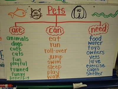 I will use this with The Day Jimmy's Boa Ate the Wash. Pets Anchor Chart Preschool, Creative Curriculum Pet Study Ideas, Pets Anchor Chart, Learning About Pets Preschool, Pet Theme Kindergarten Activities, Pet Lessons For Preschool, Pet Curriculum Preschool, Caring For Pets Preschool, Pets Prek Theme