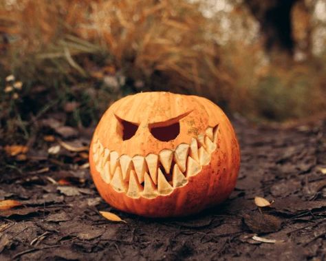 Windows Themes, Themed Wallpapers, Creative Pumpkin Painting, Scary Halloween Pumpkins, Creepy Pumpkin, Pumpkin Wallpaper, Creative Pumpkin Carving, Scary Pumpkin Carving, Pumpkin Carving Designs