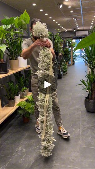 55K views · 619 reactions | 🌿✨ Witness the breathtaking artistry of our Master Florist as he brings together the stunning Xlence™ Gypsophila in a mesmerizing cascade waterfall arrangement! 🌿✨

Meet ByMusho
Our Master Florist's dedication and craftsmanship are second to none. With years of experience and an eye for detail, he transforms flowers into works of art. His latest creation? A cascade waterfall that truly showcases his talent and passion for floristry.

The Beauty of Xlence™ Gypsophila
Xlence™ Gypsophila by @danziger cut flowers renowned for its lush, cloud-like clusters of delicate white blooms. This premium variety is celebrated for its exceptional longevity and abundant blossoms, making it perfect for stunning floral designs.

Crafting the Cascade Waterfall
Creating the cascad Gypsophila Wedding Decoration, Wedding Dining Decor, Gypsophila Wedding, Flower Magic, Floristry Design, Cascading Flowers, Christmas Flower Arrangements, Cascade Waterfall, Flower Gift Ideas