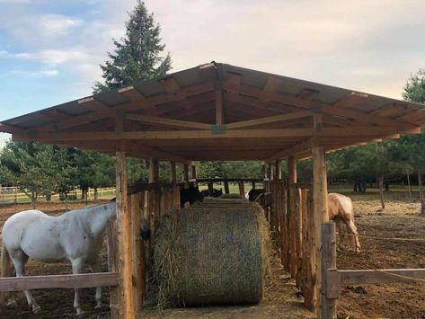 Horse Pasture Shelter, Horse Pasture Ideas, Horse Run In Shelter, Tack Shed, Simple Horse Barns, Horse Barn Ideas, Hay Shed, Horse Turnout, Horse House