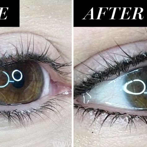 Women Are Now Getting Lash Enhancement Tattoos Lashline Enhancement Tattoo, Eyelash Enhancement Tattoo, Lash Line Enhancement Tattoo, Lash Enhancement Tattoo, Adorable Tattoos, Semi Permanent Eyeliner, Micro Blading, Soft Tattoo, Permanent Makeup Eyeliner