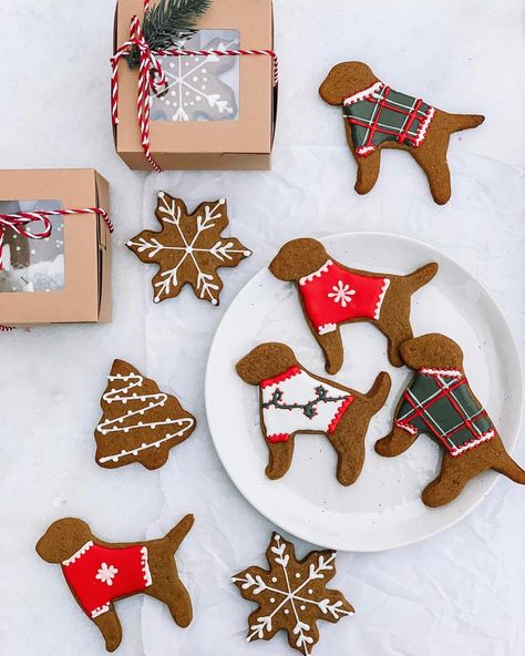 Dog Gingerbread Cookies, Gingerbread Animals, Dogs In Christmas, Gingerbread Dog, Xmas Cookie, Dog Cookies, Xmas Cookies, Fancy Cookies, Office Christmas Decorations