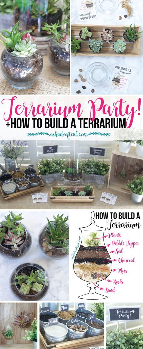 Check out this Terrarium Party! Plus let your kids make a mess while learning how to make a Terrarium. #FreeToBe #ad | A Shade Of Teal