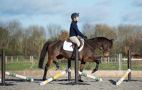 Horse Strengthening Exercises, Horse Muscle Building Exercise, Dressage Pole Exercises, Grid Work For Horses, Polework Exercises Horse, Jump Exercises, Pole Exercises, Horse Jumping Exercises, Work Exercises