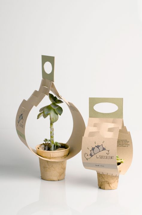 Plant Packaging, Vegetable Packaging, Southern Illinois University, نباتات منزلية, Cactus Gifts, Seed Packaging, Flower Box Gift, Instruções Origami, Southern Illinois