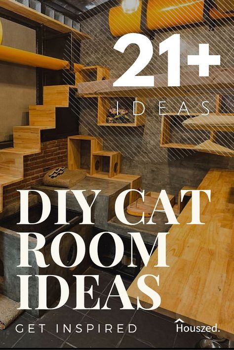 21 Cat Room Ideas That Will Have You Purring in 2022 | Houszed Office Cat Room Ideas, Cattery Ideas Cat Room Play Areas, Cat Room In Basement, Closet Cat Room Diy, Cat Tower In Living Room, Cat Shed Ideas, Cattery Ideas Pet Hotel, Dresser Into Cat Condo, Cat Closet Under Stairs