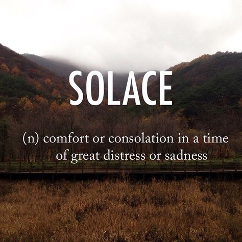 ✅ I ALWAYS PROVIDED SOLACE IN HER DARKEST HOURS . Solace Meaning, Beautiful English Words, Beautiful Words In English, Uncommon Words, Most Beautiful Words, Middle English, English Vocab, Weird Words, Unusual Words