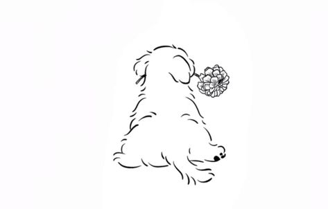 Dog Tattoo Ideas Shih Tzu, Havanese Tattoo Ideas, Coton De Tulear Tattoo, Havanese Dog Tattoo, Small Poodle Tattoo, Shih Tzu Tattoos, Shih Tzu Line Art, Cavapoo Tattoo, Havanese Tattoo