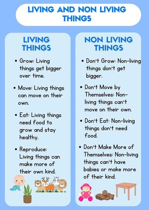 Living And Non Living Things Activities For Preschool Worksheets, Living And Non Living Things Worksheets Grade 3, Living Things And Non Living Things Worksheet For Grade 1, Living Things Kindergarten, Living And Non Living Things Worksheets, Living Things And Non Living Things, Non Living Things, Living And Nonliving Things, English Pronouns