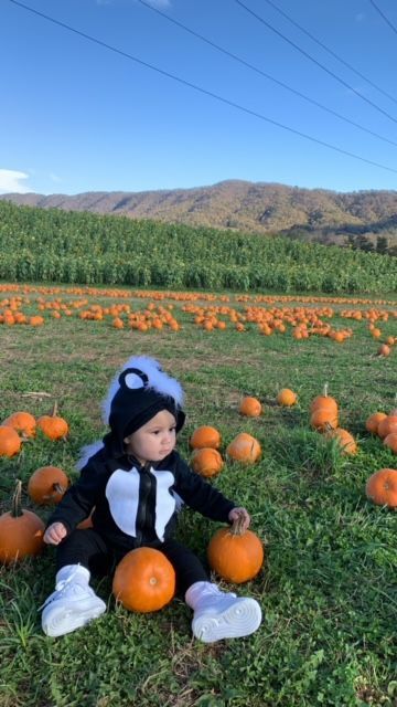 Baby Skunk Costume Diy, Diy Skunk Costume, Toddler Skunk Costume, Baby Skunk Costume, Skunk Costume, Baby Skunk, Baby Skunks, Diy Toddler, Costume Diy