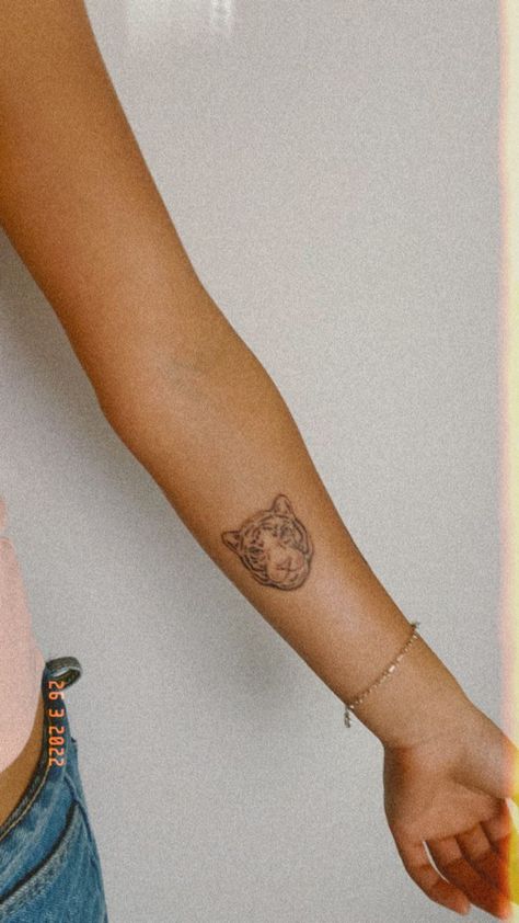 Tiger Head Tattoo For Women, Fine Line Lioness Tattoo, Fineline Lion Tattoo, Mini Tiger Tattoo, Fineline Tiger Tattoo, Dramatic Tattoos, Minimalist Tiger Tattoo, Simple Tiger Tattoo, Tattoo Ideas Tiger