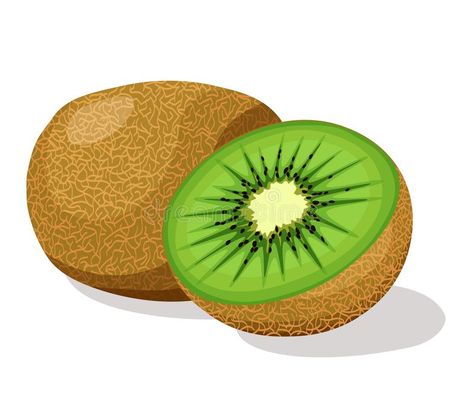 Kiwi Illustration Fruit, Kiwi Drawing, Kiwi Illustration, Fruit Challenge, Kiwi Vector, Fresh Illustration, Kiwi Design, Fruit Sticks, Abc Song