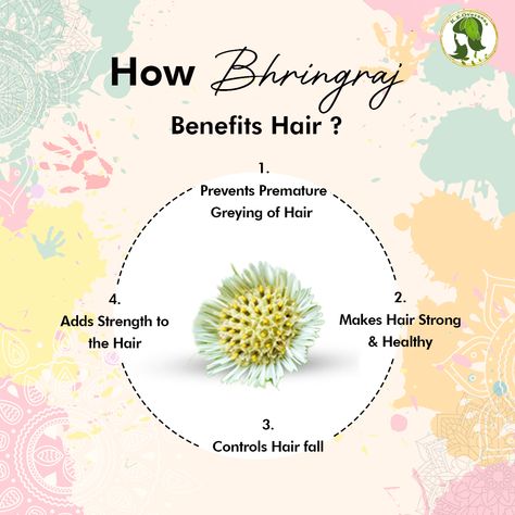 Bhringraj for Hair Bhringraj Powder, Hair Fall Problem, Hair Masks, Different Hair, Hair Control, Hair Fall, Natural Herbs, Strong Hair, Private Label