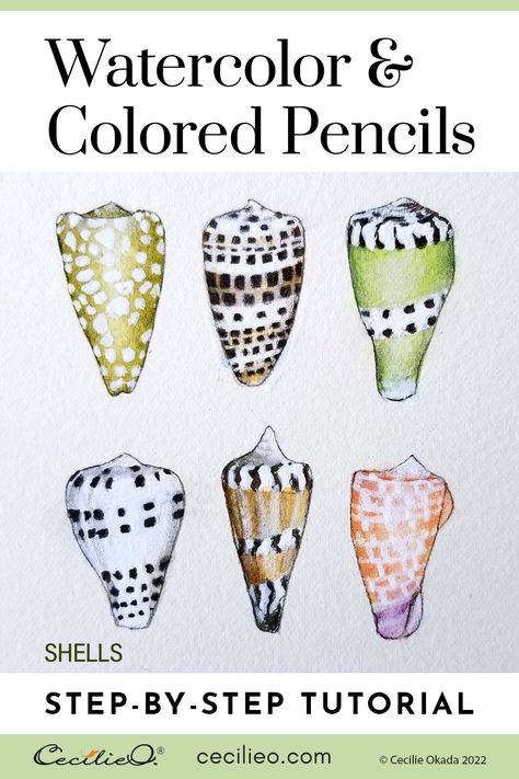 How to watercolor seashells with nature’s beautiful pattern design. Learn from my mistakes as I take you through the step-by-step process. via @cecilieokadadesign Watercolor Shells Tutorial, Watercolor Shells Seashells, How To Paint Seashells, White Gouache, Watercolor Clouds, Sketching Tips, Watercolor Tips, Learn Watercolor, Watercolor Paintings For Beginners