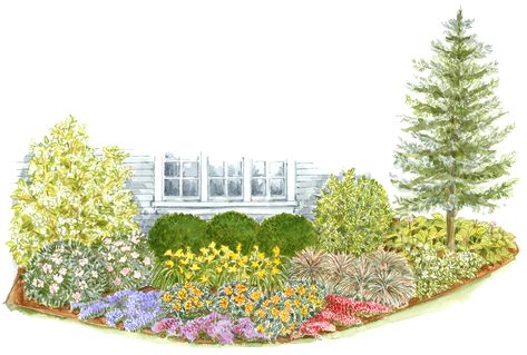 Planting Plan, Foundation Planting, Front Landscaping, Garden Shrubs, Garden Plans, Landscape Plans, Have Inspiration, Landscaping Tips, Front Yard Garden