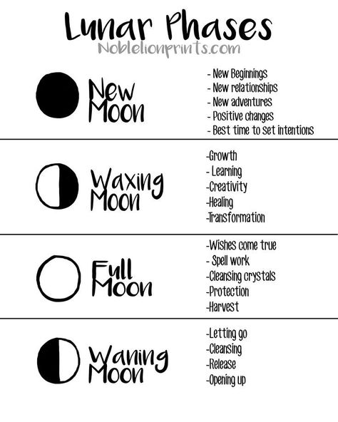 lunar-moon phases and meanings Witchcraft 101, Mother Moon, Lunar Witch, Witches Broom, Witchy Tips, Moon Spells, Broom Closet, Lunar Phases, Magia Das Ervas