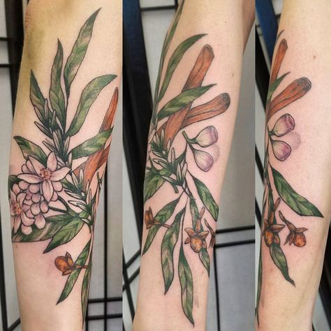 171 Likes, 9 Comments - Kim Stace Thomas (@kthomato) on Instagram: “#thieves oil #tattoo ! #cinnamon #lemon #flowers #flower #eucalyptus #cloves #botanical #bayarea…” Clove Flower Tattoo, Cinnamon Tattoo, Joshua Tattoo, Oil Tattoo, Cinnamon Flower, Clove Flower, Tattoo Elements, Flower Eucalyptus, 2023 Tattoo