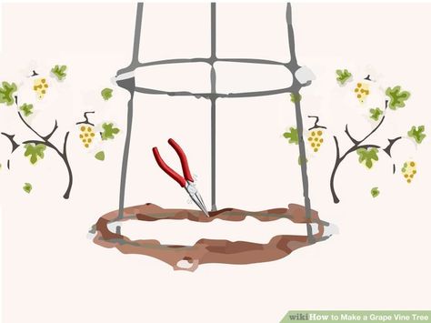 How to Make a Grape Vine Tree: 10 Steps (with Pictures) Grape Vine Tree, Vine Tree, How To Make Trees, Grapevine Tree, Trees Diy, Afternoon Crafts, Tomato Cages, 12 Steps, Garden Club