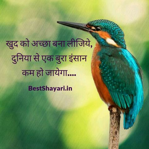 Indian Quotes, Life Quotes Pictures, Life Thoughts, Motivational Thoughts, Shayari In Hindi, Sweet Words, Photo Download, Good Morning Wishes, Reality Quotes